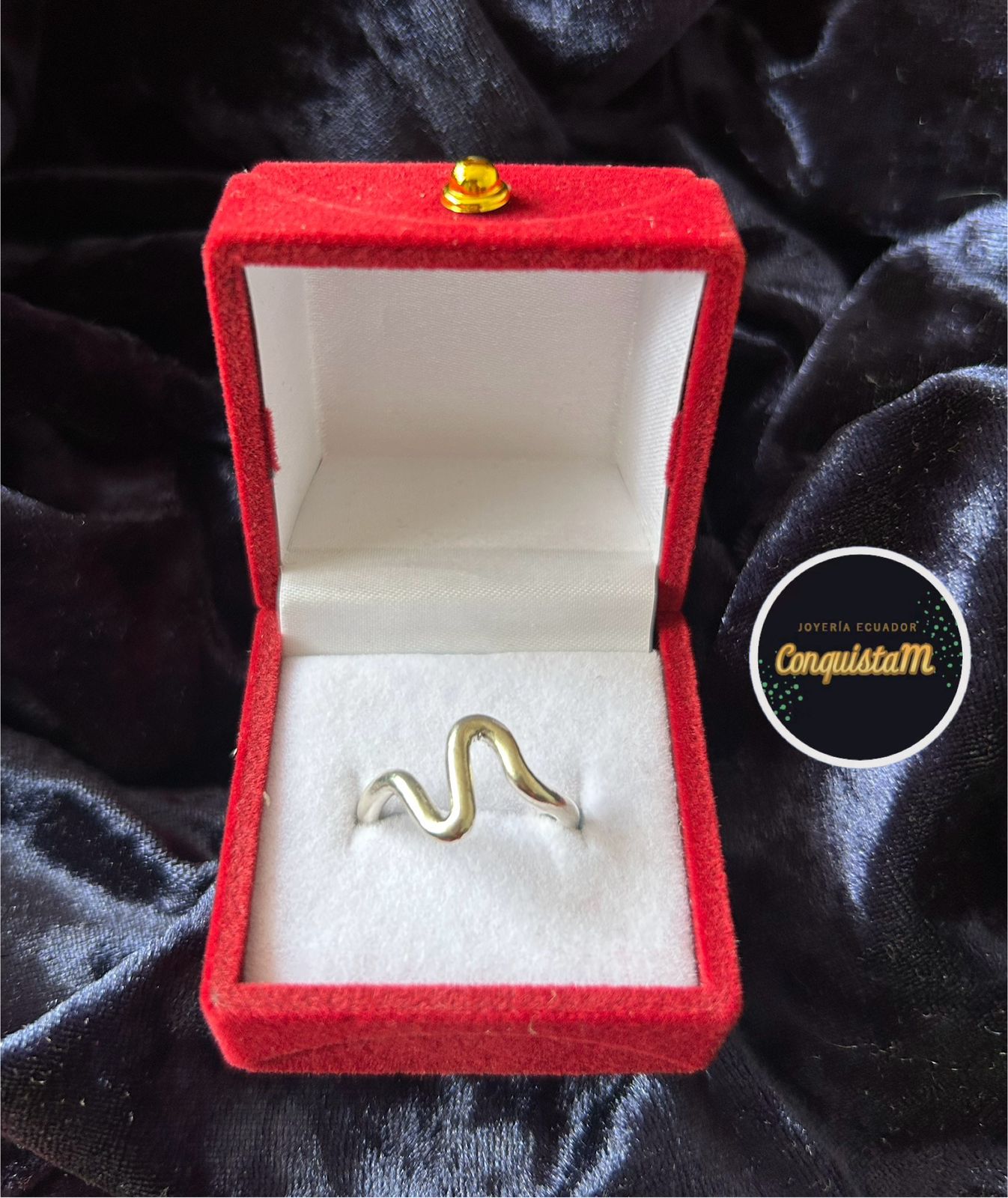 Anillo de plata curvo